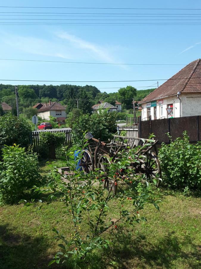 Apartament Ibolya Apartman Kano Zewnętrze zdjęcie